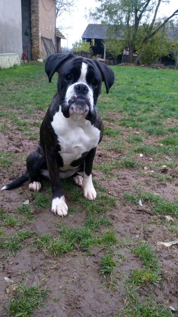 Lizzie Du Siecle Andalou