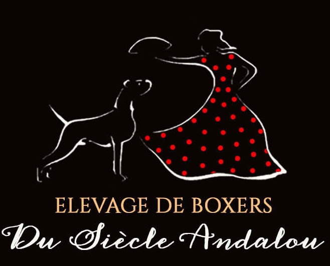 Du Siecle Andalou